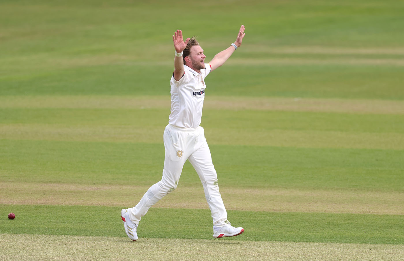 Sam Cook links with Essex to compound Surrey woes